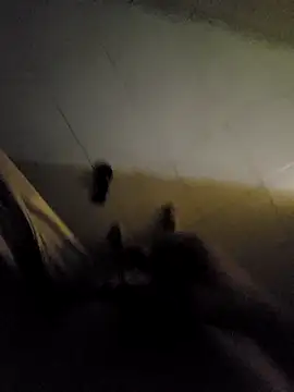 beto juby777 online show from November 4, 10:42 pm