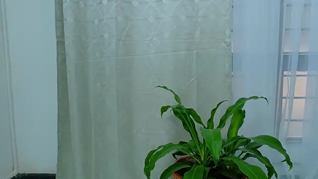 EbonyHorrny online show from September 15, 12:16 pm