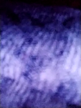 salimbasha online show from May 24, 7:41 pm