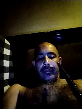salimbasha online show from June 2, 2:35 am