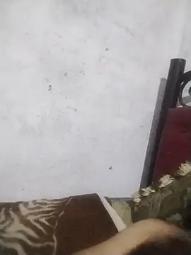 salimbasha online show from June 8, 5:52 am