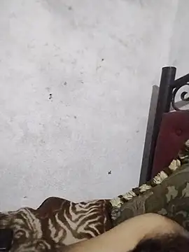 salimbasha online show from June 15, 2:58 am