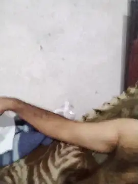 salimbasha online show from July 13, 12:46 am
