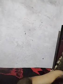 salimbasha online show from July 28, 1:12 am