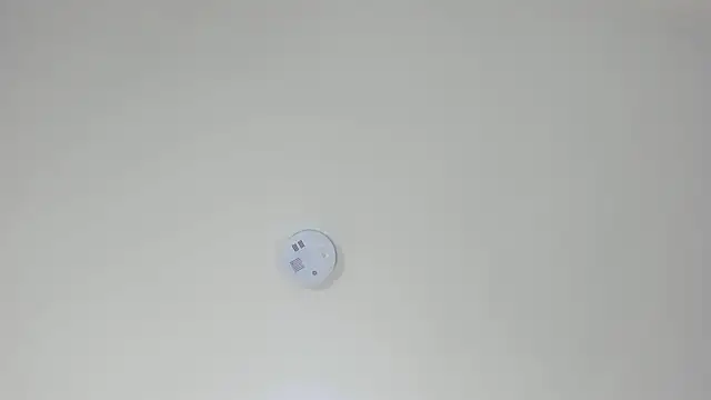 pamemiller1 online show from October 23, 2:33 am