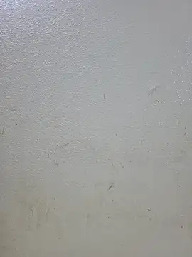 titooritax online show from November 1, 11:29 pm