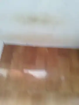 O Mascarado NK online show from March 21, 12:43 pm