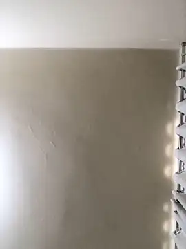 MusaAyla online show from February 8, 5:05 pm