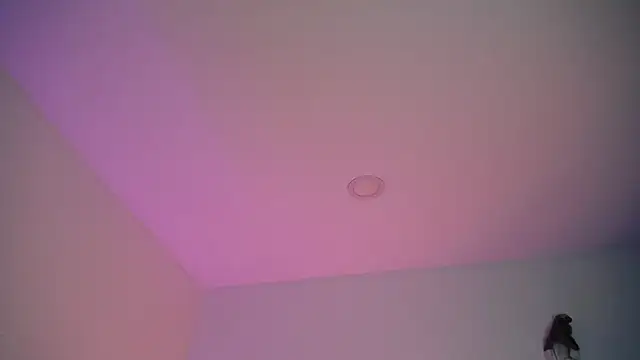 Snapshot of Stepha_babe chatting on September 8, 10:53 pm Stepha babe online show from September 8, 10:53 pm