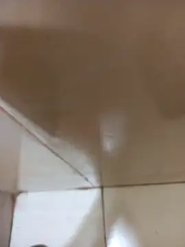 Snapshot of vboli08 chatting on October 24, 11:12 pm vboli08 online show from October 24, 11:12 pm