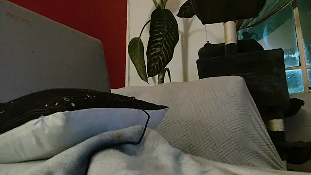 Tulindabonny online show from March 6, 5:04 am