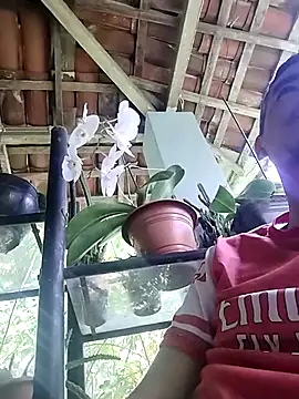 Snapshot of Boragozarvem chatting on October 7, 2:58 pm Boragozarvem online show from October 7, 2:58 pm