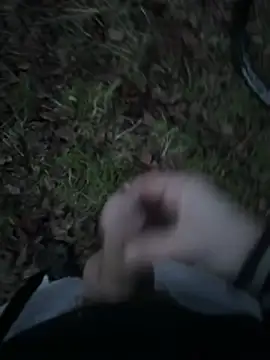 Disturbeeflarge online show from January 15, 4:22 pm