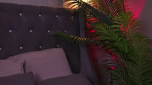 AriWild online show from July 12, 5:09 am