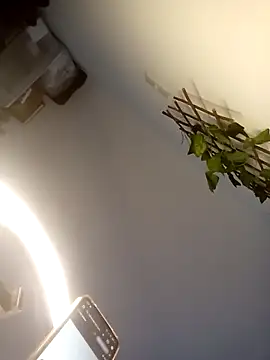 Loiroatv36 online show from April 3, 10:02 am