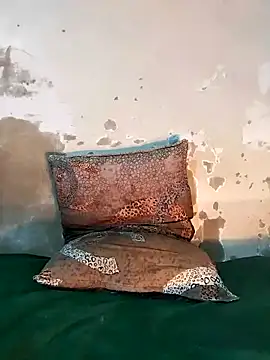 Snapshot of ParousFlow chatting on December 18, 8:26 pm ParousFlow online show from December 18, 8:26 pm