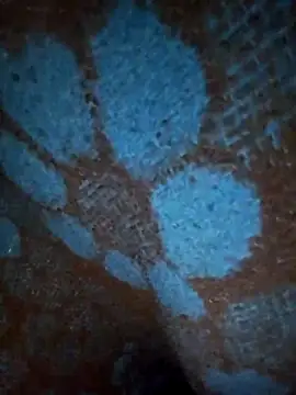 Snapshot of ParousFlow chatting on January 19, 12:42 pm ParousFlow online show from January 19, 12:42 pm