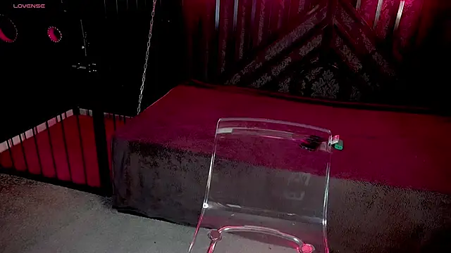 LiviaShy online show from December 2, 2:45 pm