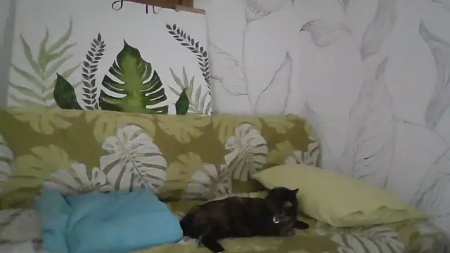 Catty Lady online show from September 27, 6:35 pm