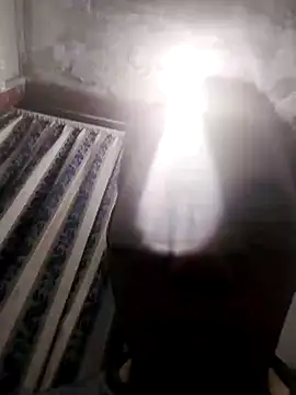 13elvergon online show from November 25, 10:04 am