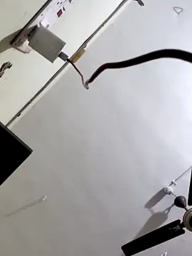 Snapshot of papukurty chatting on October 7, 3:14 am papukurty online show from October 7, 3:14 am