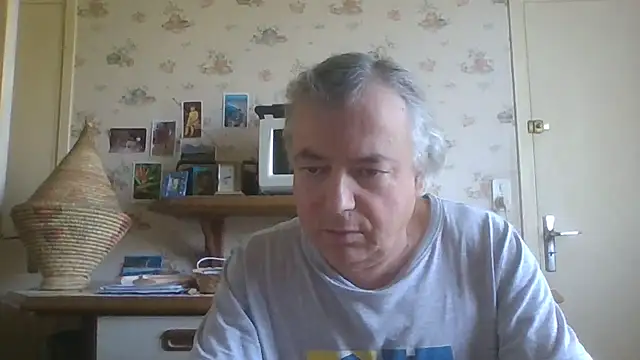 gegevincent online show from June 13, 8:56 am