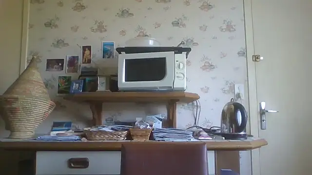 gegevincent online show from June 17, 11:01 am