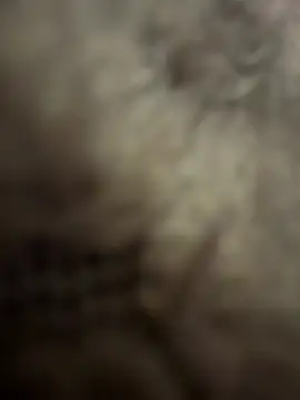 anonimgirl18old online show from February 3, 8:58 pm