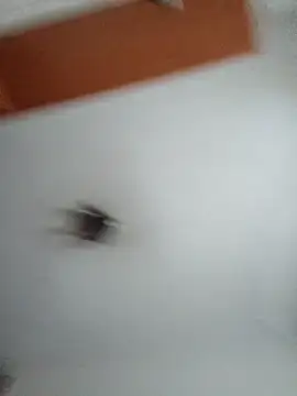 Hottiesophie online show from March 25, 4:13 pm