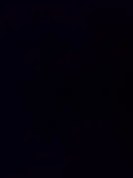 minnetird online show from December 15, 7:12 am