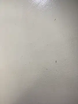 Issa Santana online show from February 21, 7:15 pm