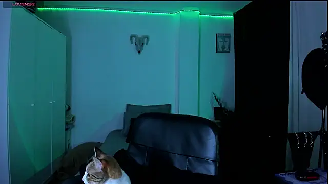 kattusauruss online show from March 22, 2:26 am