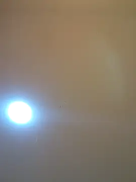 Oriana111 online show from March 12, 12:00 pm