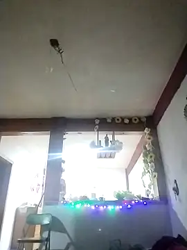 Snapshot of perrotjuui97 chatting on November 15, 1:47 am perrotjuui97 online show from November 15, 1:47 am