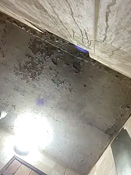 freedmar online show from December 16, 6:02 pm