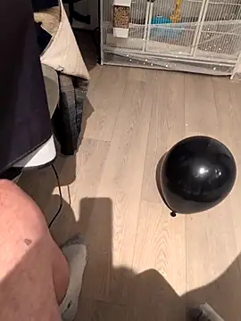 Bimalehung online show from November 2, 1:41 am