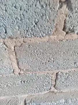 KingBonga online show from October 17, 4:37 am