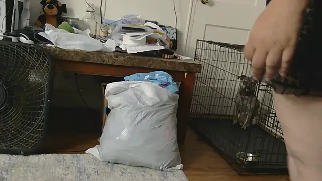 Babygrldes online show from April 24, 2:03 am