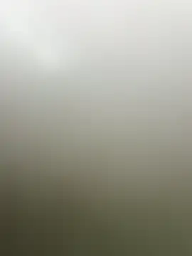 guridosul051 online show from April 20, 11:13 am