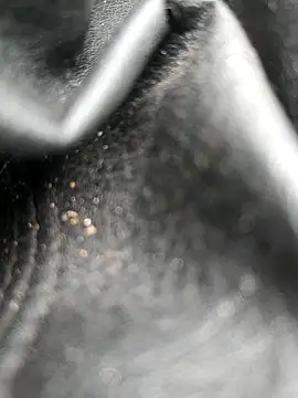 Snapshot of legaros chatting on October 19, 8:04 am legaros online show from October 19, 8:04 am