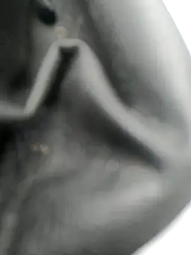 Snapshot of legaros chatting on October 20, 3:12 pm legaros online show from October 20, 3:12 pm