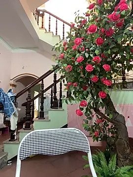 Bollozzy 89 online show from September 24, 4:49 am