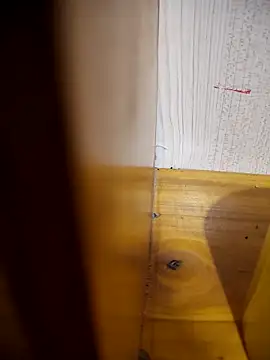 daisylouis online show from April 21, 1:07 am