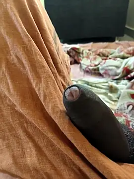 vichuhot online show from September 26, 8:29 am