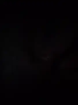 Cnutt310 online show from April 23, 7:27 pm