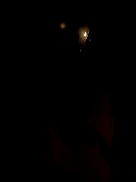 Snapshot of dutch_girl_lover chatting on October 5, 9:07 am dutch girl lover online show from October 5, 9:07 am