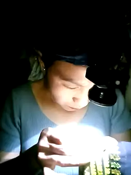 Snapshot of nasy_lady chatting on October 12, 12:37 pm nasy lady online show from October 12, 12:37 pm