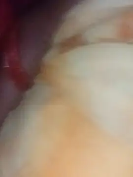 t2pnb online show from December 3, 4:27 pm