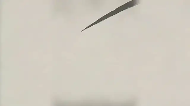 Snapshot of MSLOVE-001 chatting on March 2, 1:51 pm MSLOVE-001 online show from March 2, 1:51 pm