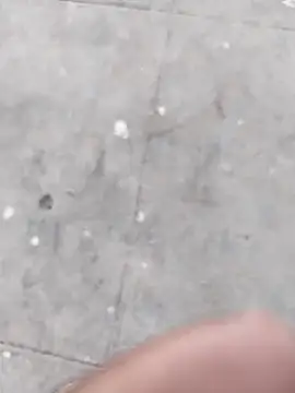 Snapshot of Wet_BunnyFun chatting on November 5, 12:05 pm Wet BunnyFun online show from November 5, 12:05 pm